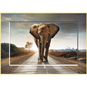 Puzzle 1000 Elefante Deco-Art